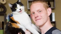 Unic tricolor cat jake din marea britanie